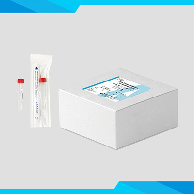 Bộ công cụ phương tiện truyền tải vi rút đã ngừng hoạt động cho RT-PCR