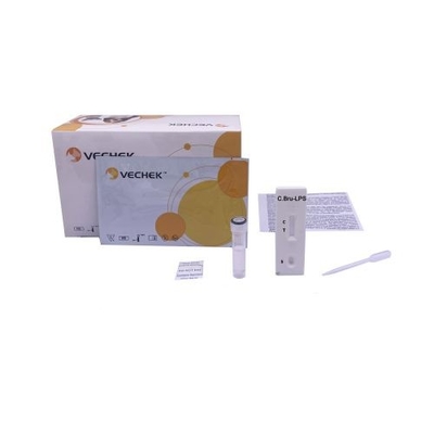 98% Bộ dụng cụ kiểm tra cho chó Kiểm tra nhanh kháng thể Canine Brucella LPS