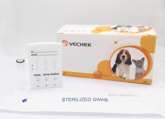 Bộ dụng cụ thử nghiệm OEM cho chó CPV CCV Chẩn đoán nhanh kháng nguyên Giardia Lamblia