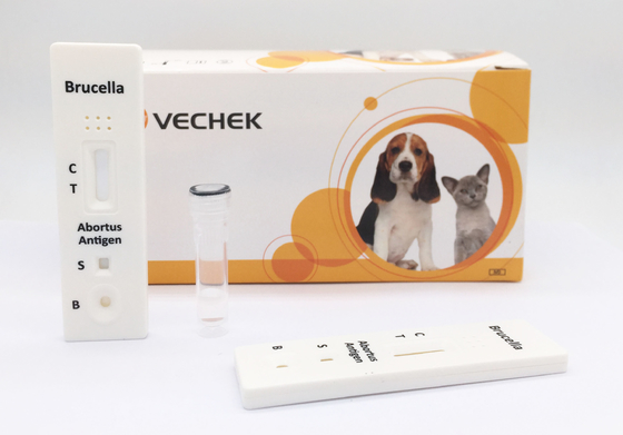 10 phút Kiểm tra kháng nguyên Brucella của bò với định tính và sơ bộ