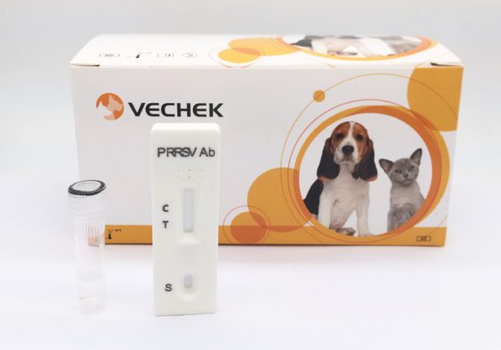 Bộ xét nghiệm PRRSV về Hội chứng hô hấp và sinh sản Xét nghiệm kháng thể virus